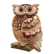 Load image into Gallery viewer, Multi Tone Owl Brooches 2273
